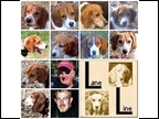 Laneline Kennel