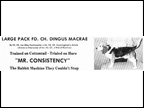 Dingus MacRae