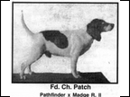 Patch
