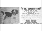 Concord Sindy 2