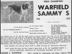Warfield Sammy S
