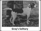Gray's Solitary