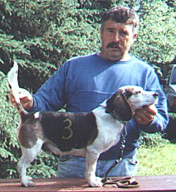 Branko's Jack Of All Trades