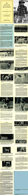 Tribute To Willet Randall And The Patch Hounds