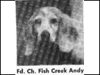 Fish Creek Andy 2