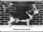 Chapman's Buzz Bomb