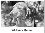 Fish Creek Queen