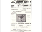 Scott R