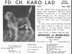 Karo Lad