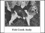 Fish Creek Andy