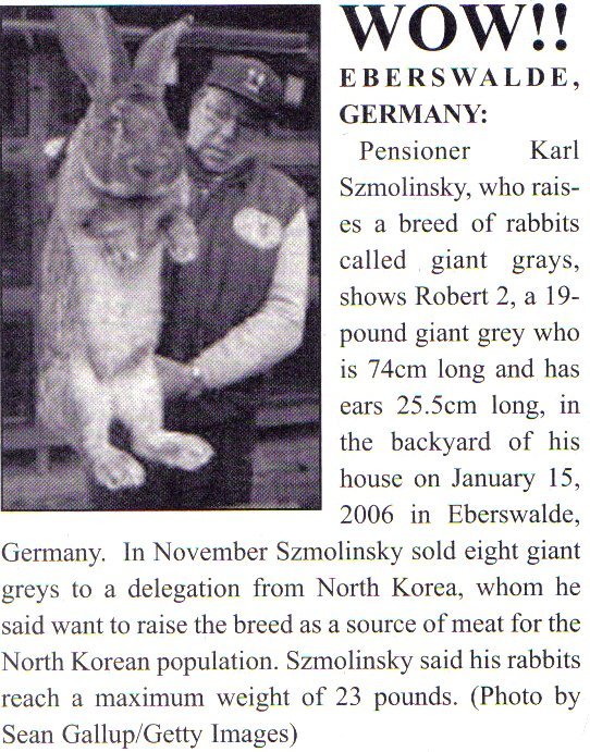 Giant Gray