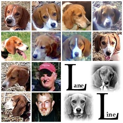 laneline group picture